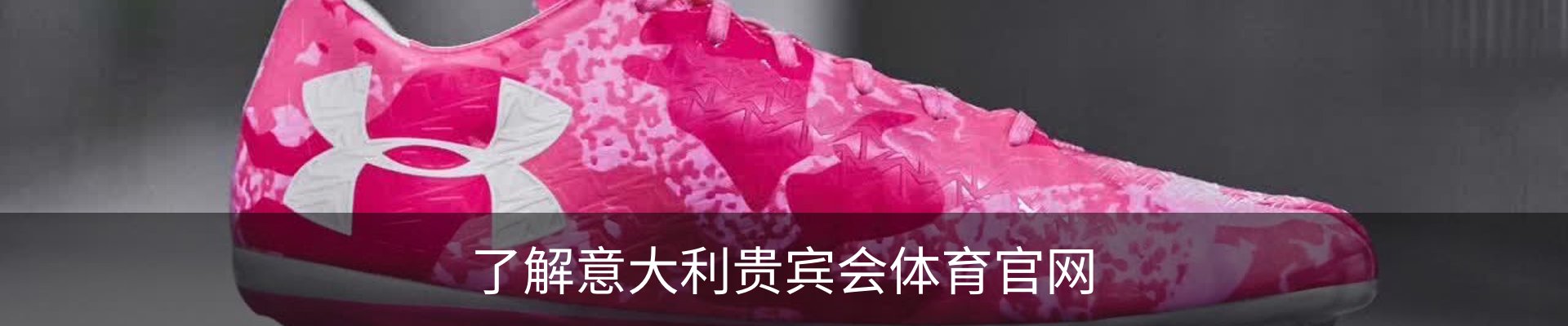 了解意大利贵宾会体育官网